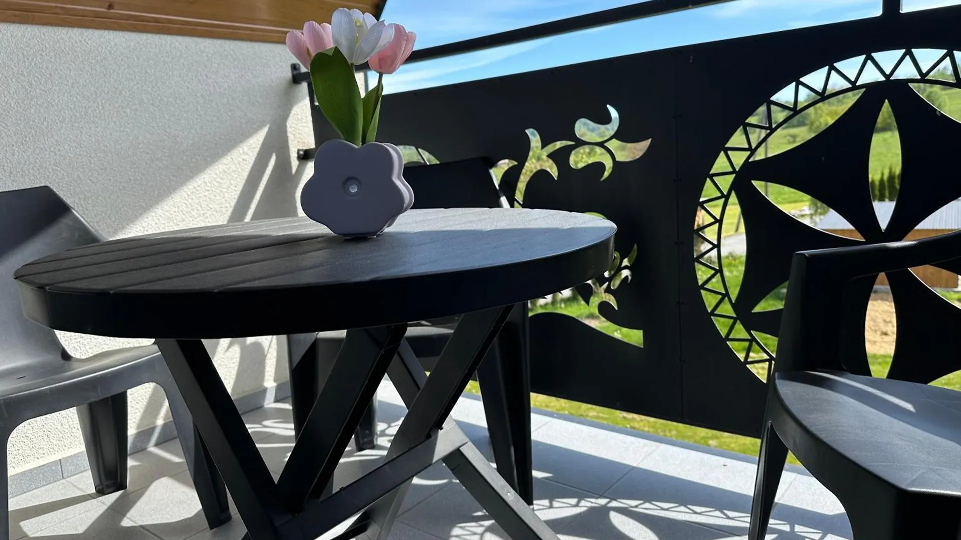 Apartamenty U Moni زاكوباني 0*,  بولندا